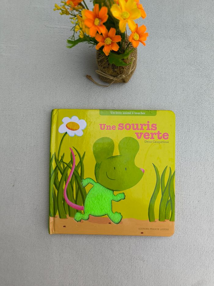 Livre Une souris verte Milan