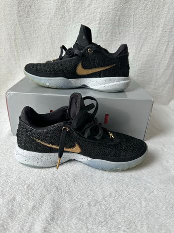Nike Lebron XX basketball shoes taille 41