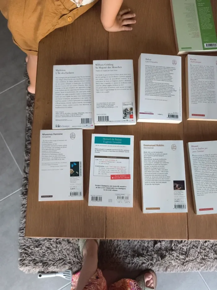 Lot de 13 livres de littérature classique - photo numéro 6