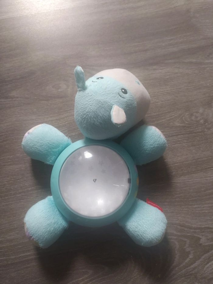 Hippo projection - photo numéro 3