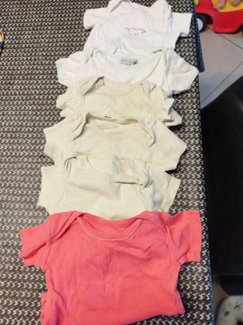 Lot de 6 bodies courtes manches