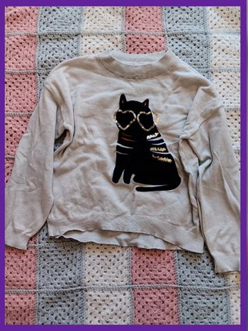Pull chat 8 ans