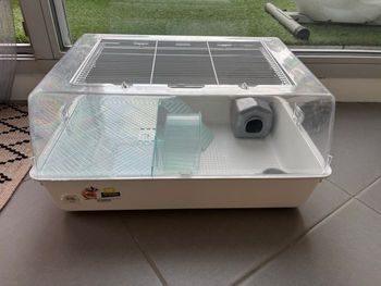 Cage+compléments hamster 