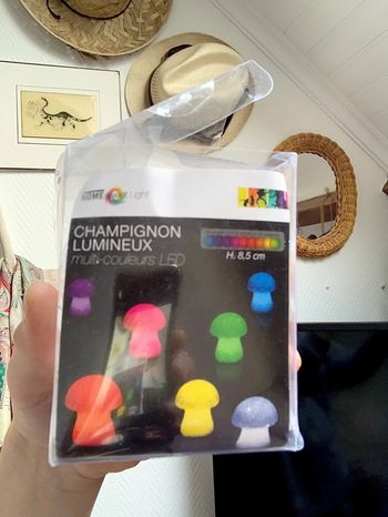 Petit Champignon lumineux LED multicolore