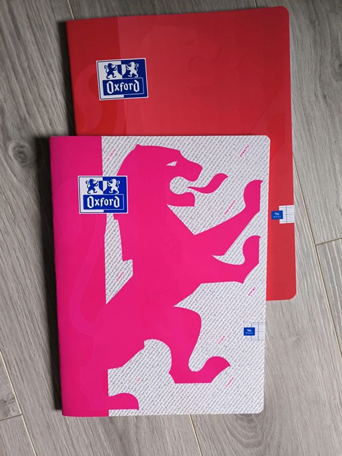 Lot de 2 cahiers
