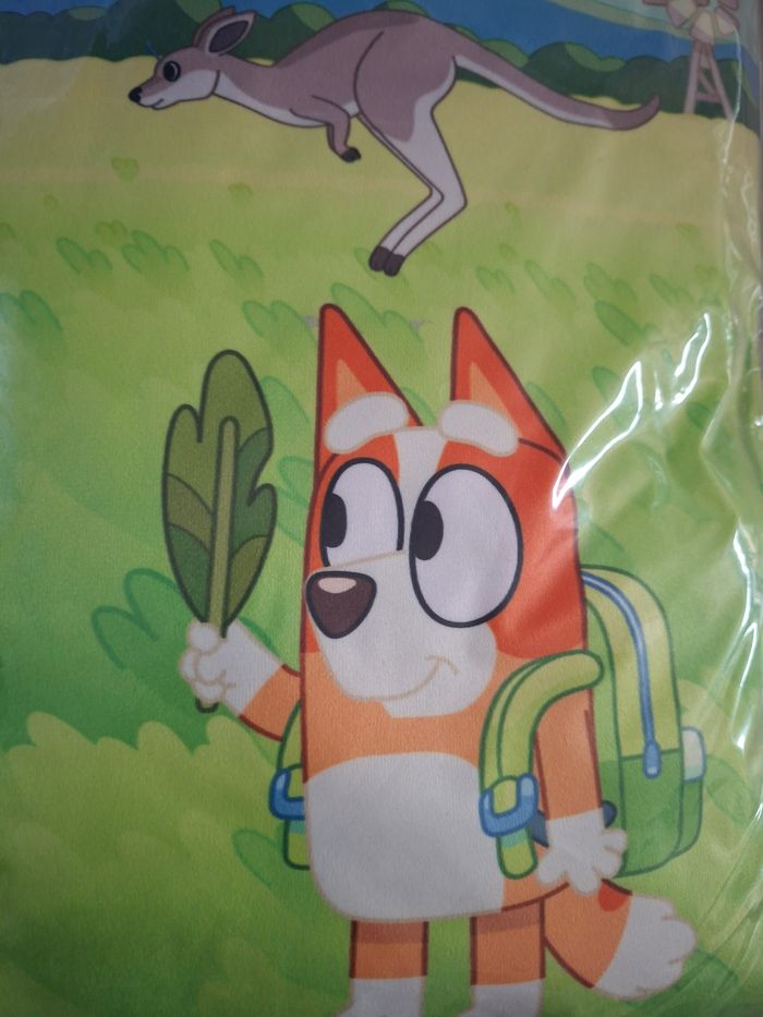 Coussin - photo numéro 8