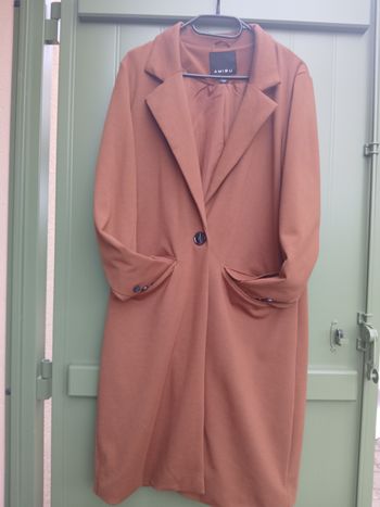 Manteau amisu femme caamel