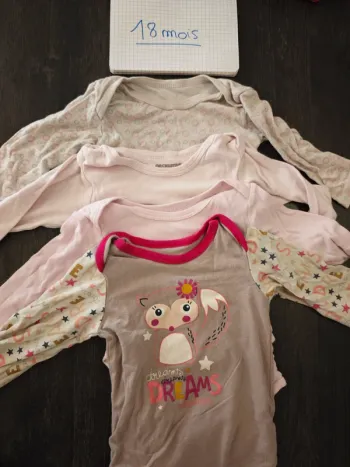 Lot 4 bodys de dépannage