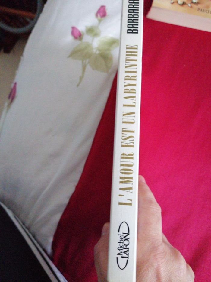 L amour est un labyrinthe - photo numéro 3