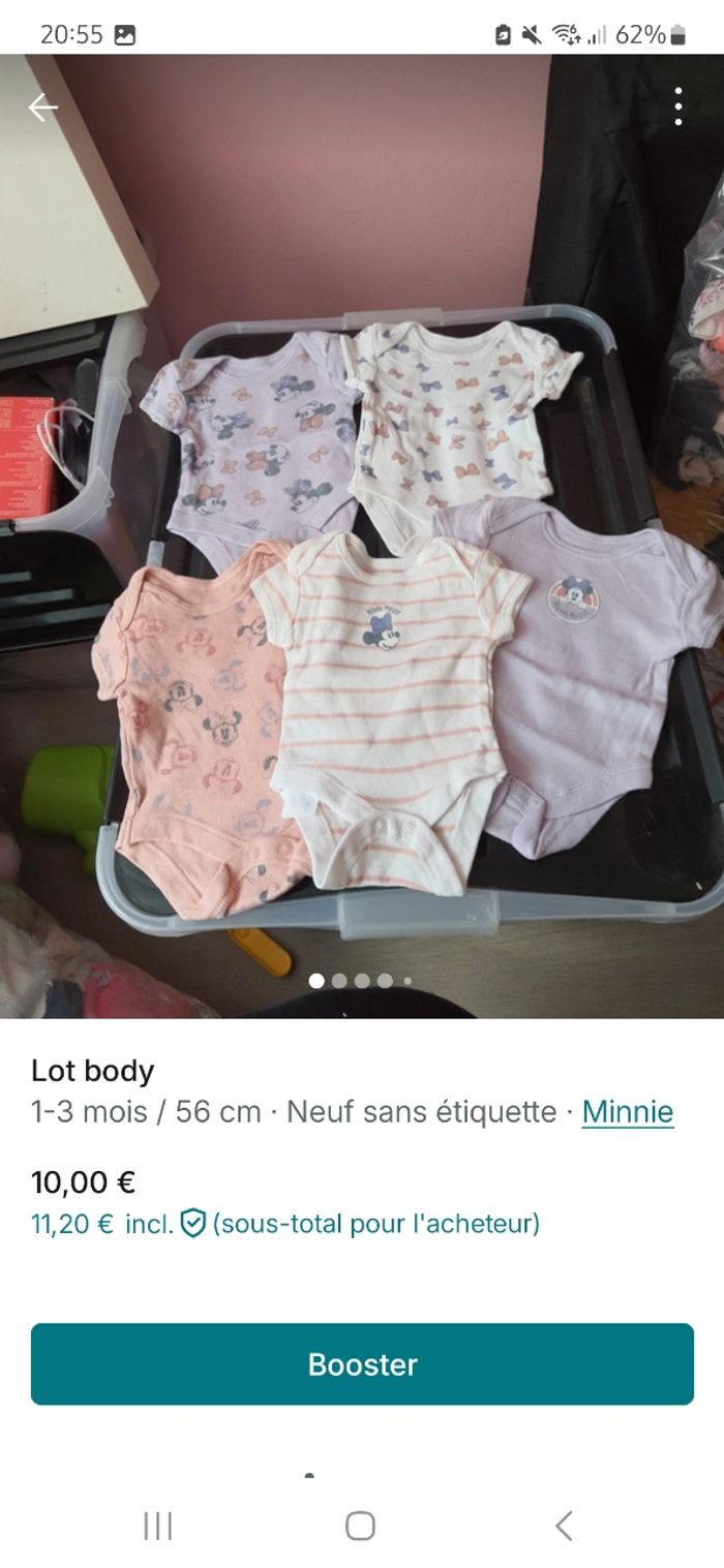 Bodies