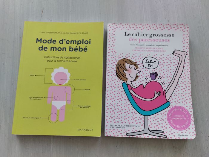 Lot 2 livres grossesse et bébé