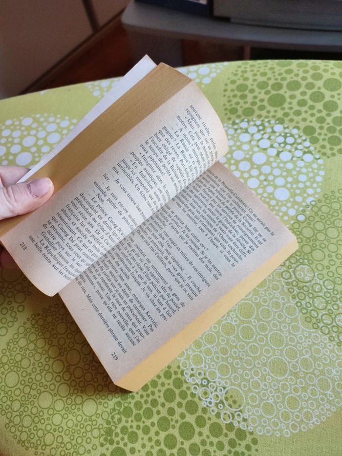 Le courrier de Saigon - photo numéro 3