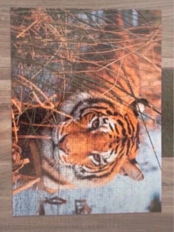 Puzzle tigre
