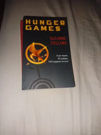 Hunger games grands formats