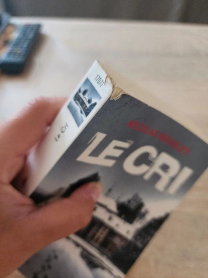 Livre de poche "le cri" de Nicolas Beuglet - photo numéro 4
