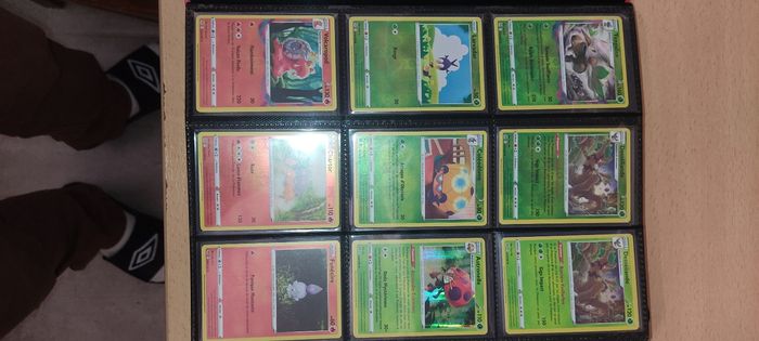 Carte Pokémon reverse et holo origine perdu FR - photo numéro 3