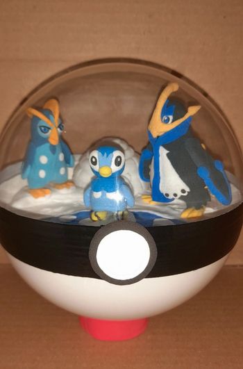 Pokeball terrarium évolution tiplouf