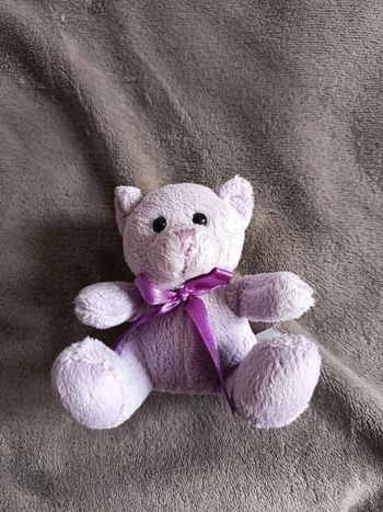 Peluche mini ours