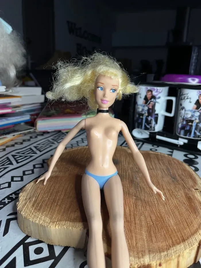Barbie cendrillon - photo numéro 2