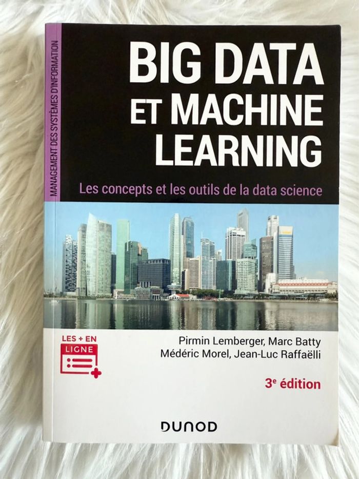 Big Data et Machine Learning – Concepts et outils – 3e édition – Dunod - photo numéro 6
