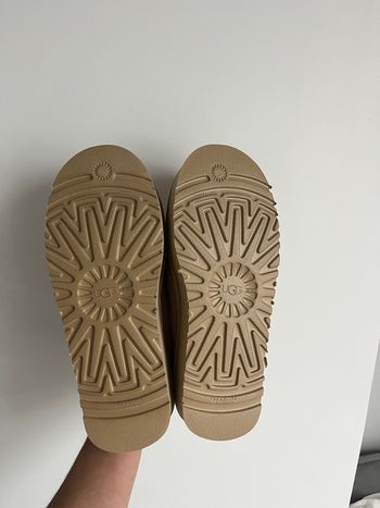 Ugg Tazz II
