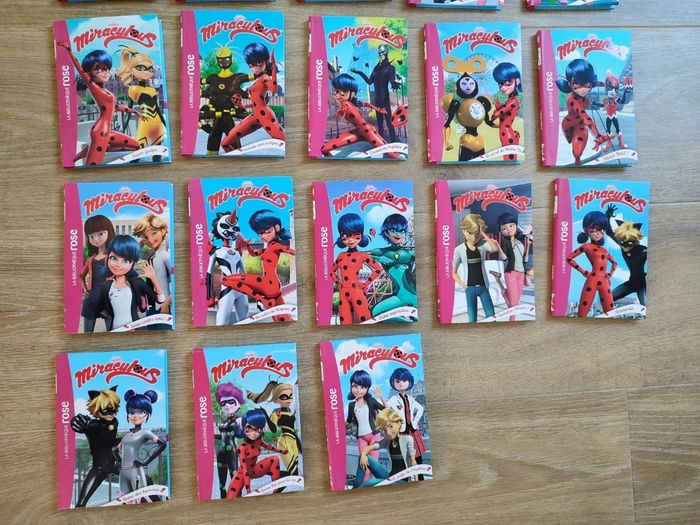 Lot livre ladybug - photo numéro 3