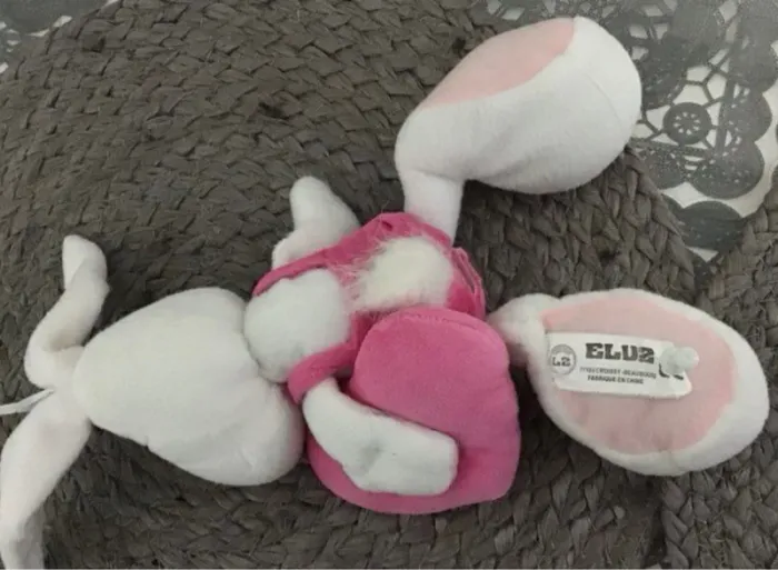Lapin eluz - photo numéro 4