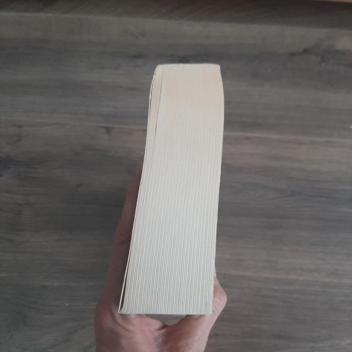 Livre Anna Caritas Le Carnage - photo numéro 5