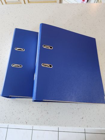 Classeurs + intercalaires