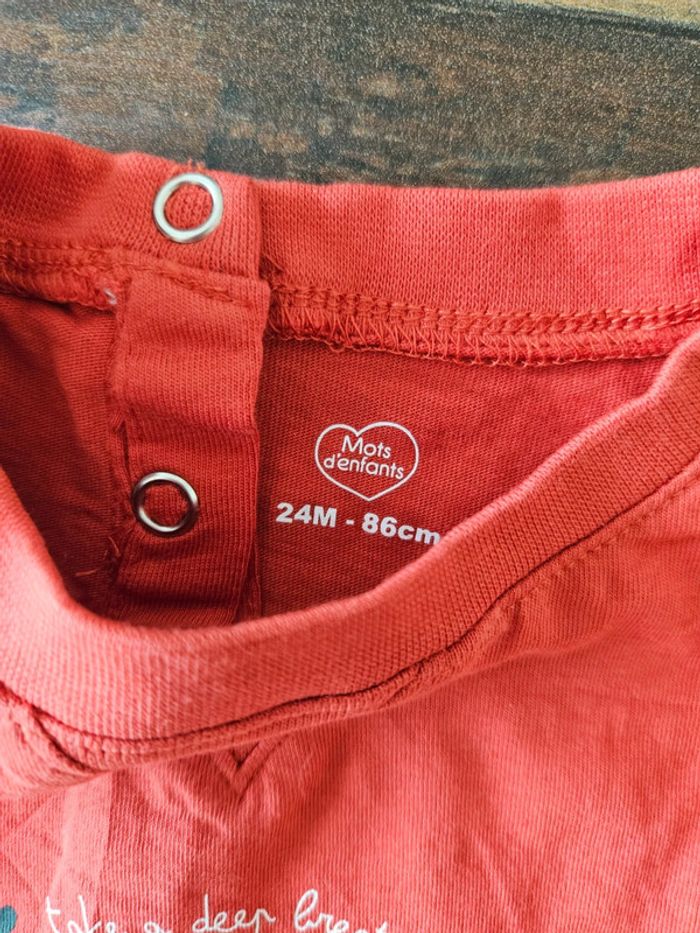 T-shirt manches longues bébé garçon 24 mois - photo numéro 2