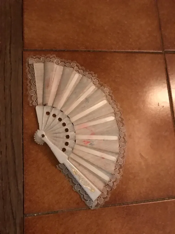Éventail - photo numéro 3