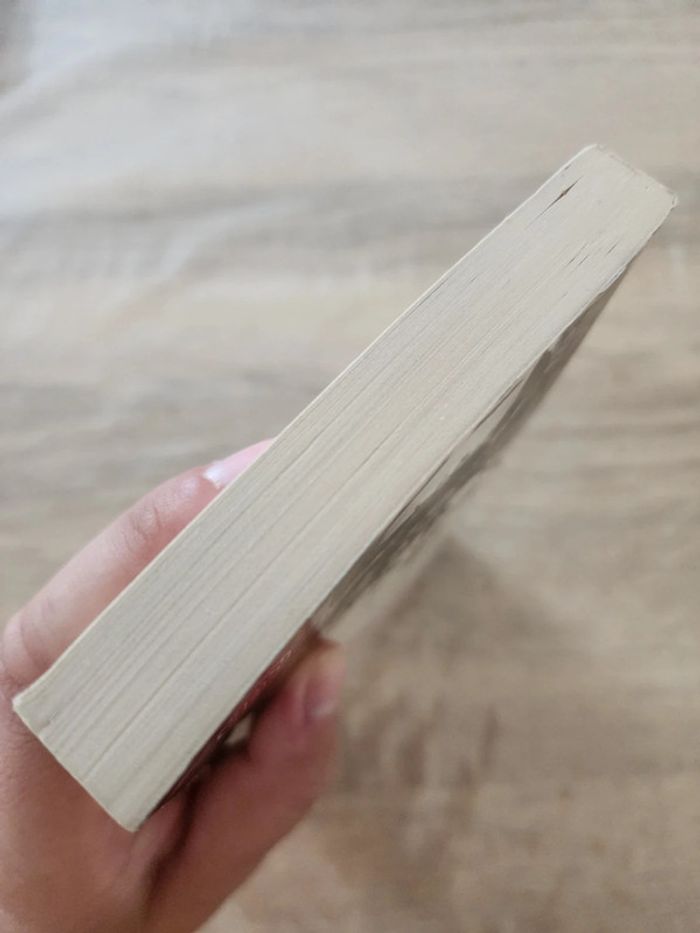 Livre de poche "l'origine de la violence" de Fabrice Humbert - photo numéro 6