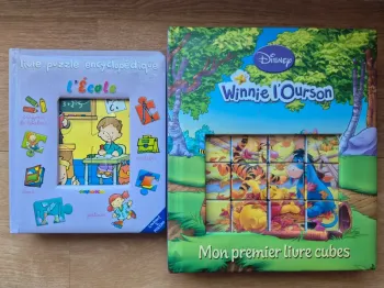 2 livres puzzles et cubes