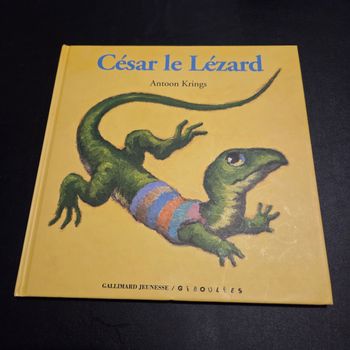 Livre enfant Antoon Krings Drôles de petites bêtes