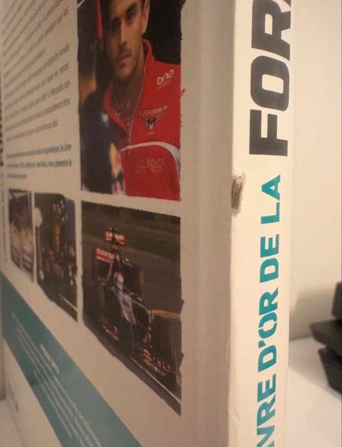 🏎️ F1 2014 - photo numéro 3