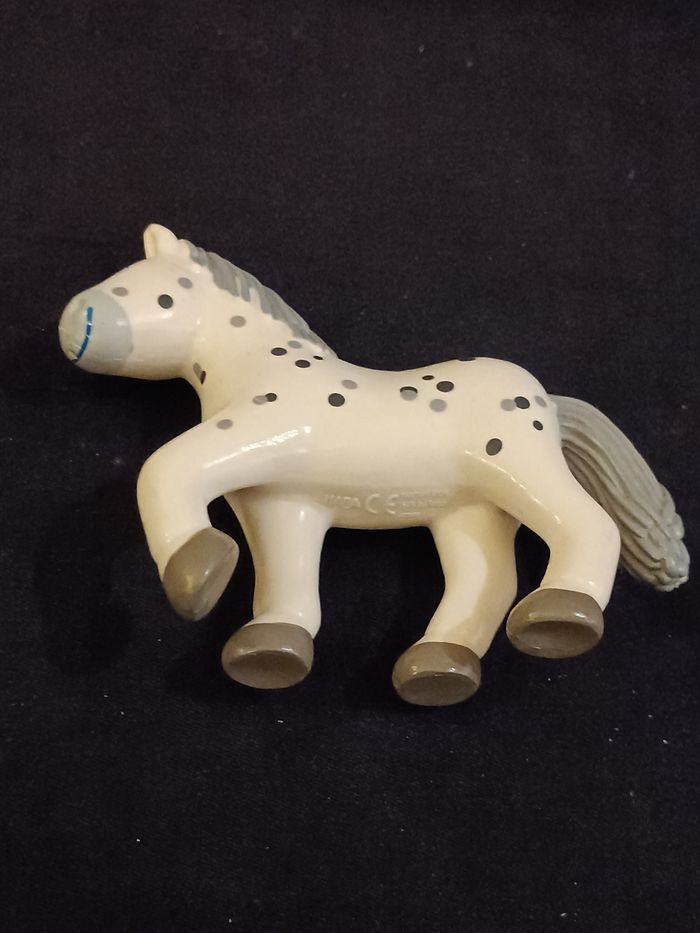 Cheval Pipa Haba - photo numéro 4