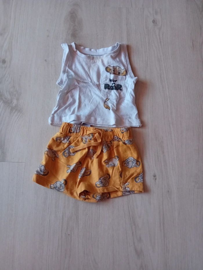 Ensemble simba