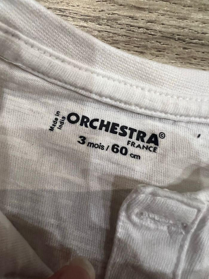 Thsirt - photo numéro 3