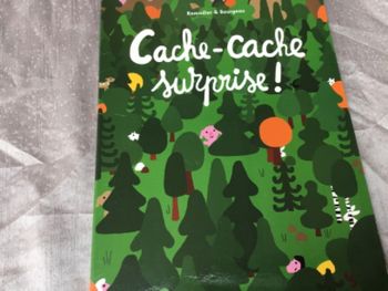 Cache-cache surprise