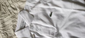 Polo Lacoste