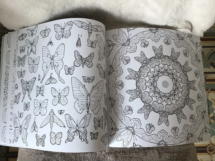 Grand Livre coloriage , coloriage Fantastic collection(0124) 30X29 cm - photo numéro 6