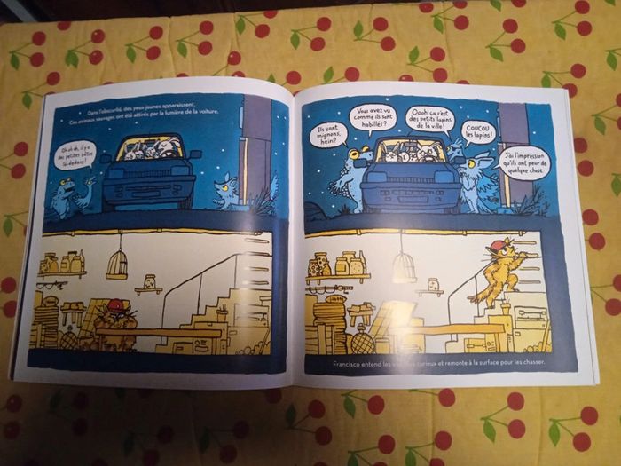 Francisco de Perceval Barrier - photo numéro 2