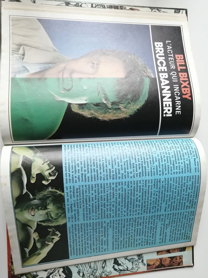 l'incroyable hulk - photo numéro 7