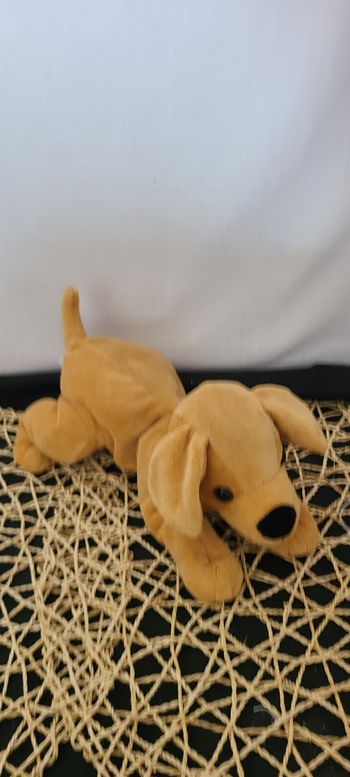 Doudou chien beige marron SIMBA TOYS NICOTOY