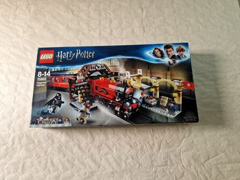 Lego Harry Potter 75955 , Hogwarts express