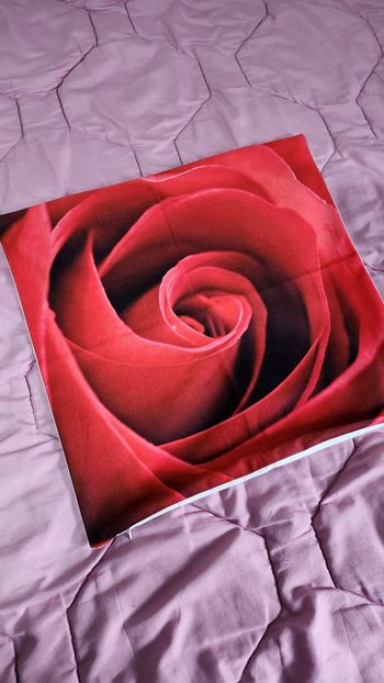 Housse de coussin 