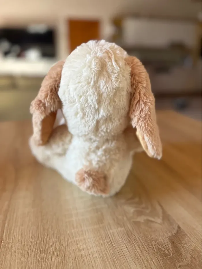 Peluche chien beige avec cœur – Très bon état - photo numéro 3