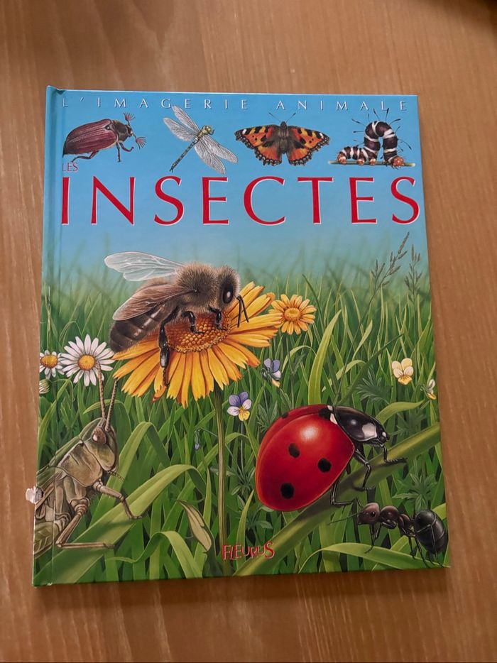 La grande imagerie - photo numéro 3