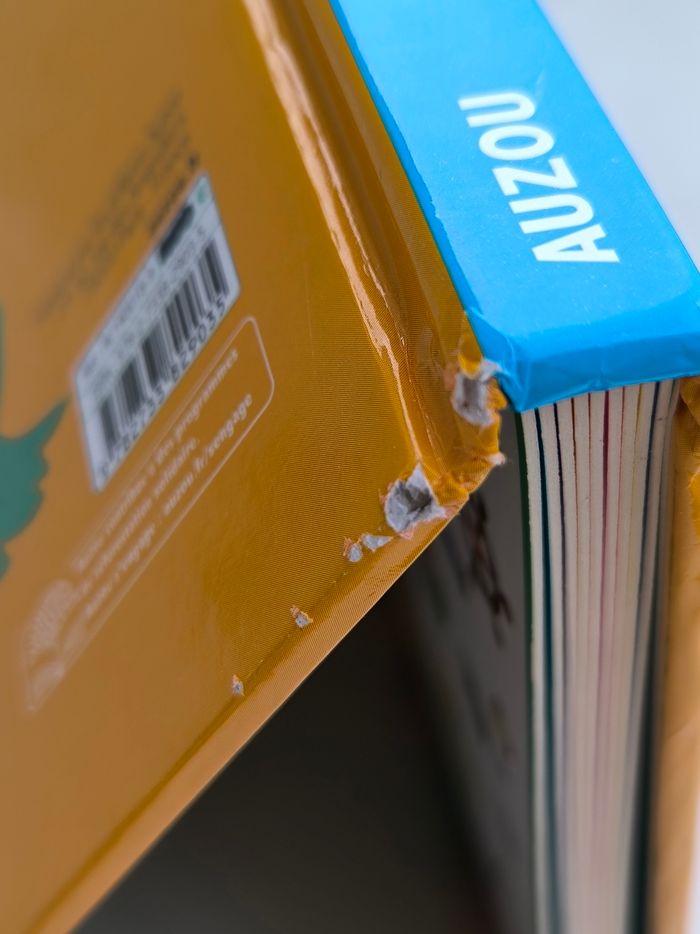 Livre Cherche et trouve géant Auzou - photo numéro 9