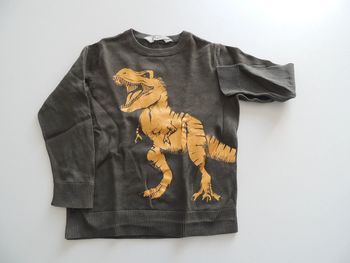 Pull dinosaure T-Rex 4 / 6 ans  (C4)